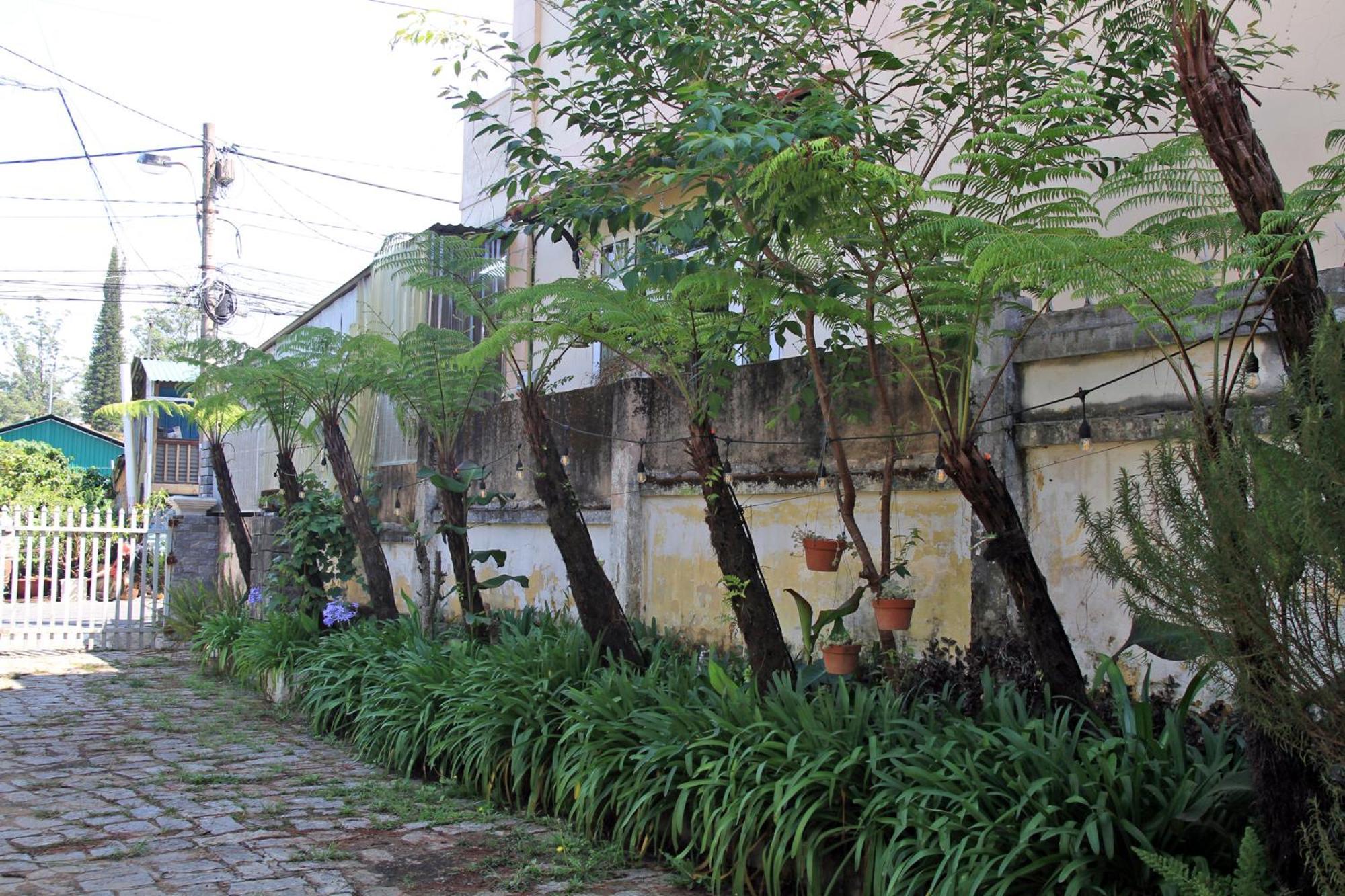 Homestaynhatuiminh Da Lat Exterior foto